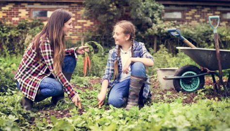 Carriola da giardino: come sceglierla e consigli pratici - Casa